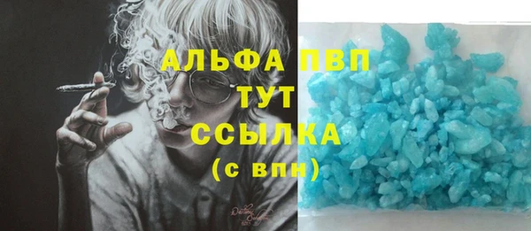 амф Магас