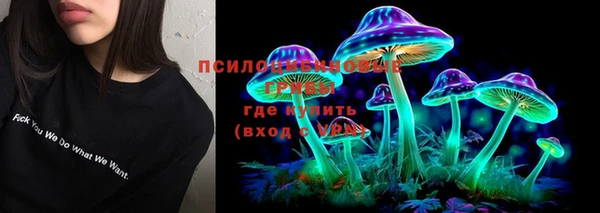 бошки Мегион