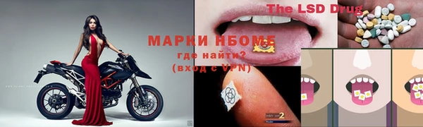 амф Магас