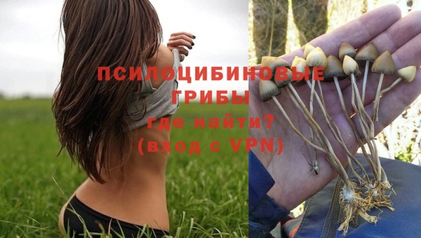 spice Магадан