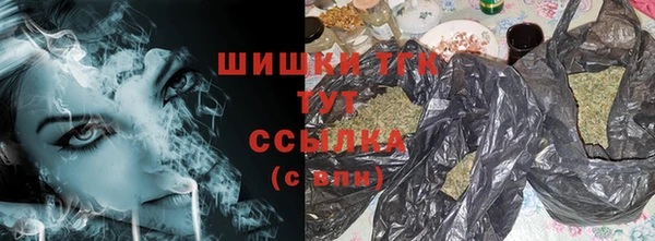 гидра Майский