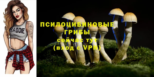 амф Медногорск